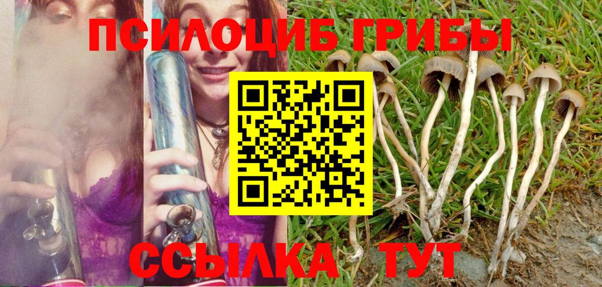 Галлюциногенные грибы MAGIC MUSHROOMS  Галлюциногенные грибы MAGIC MUSHROOMS  Нарьян-Мар  Вход с VPN 